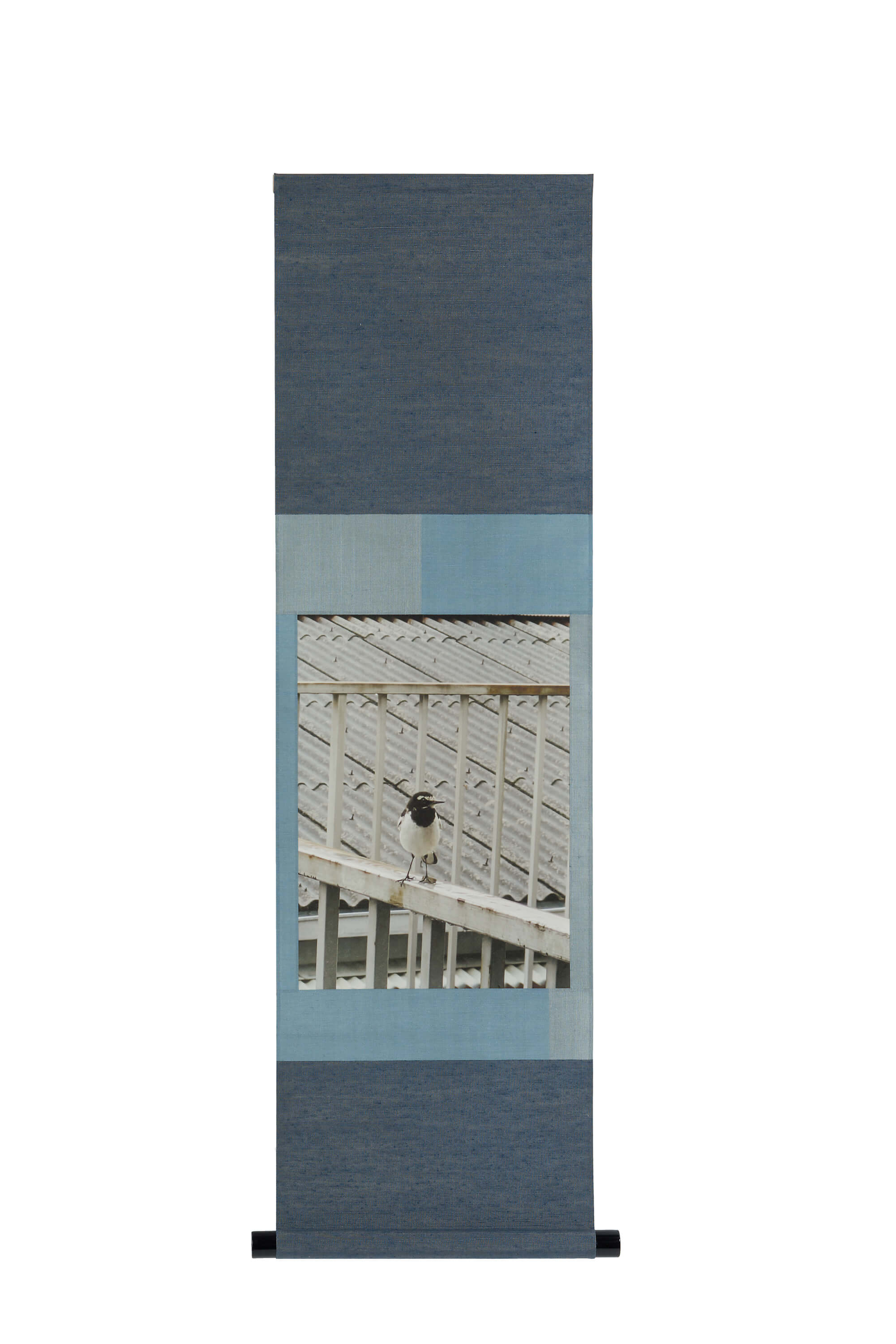 第７０回記念表美展・京都市長賞（青年会）/ 佐藤松鱗堂 / 佐藤 徹弥 / 「セグロセキレイ」