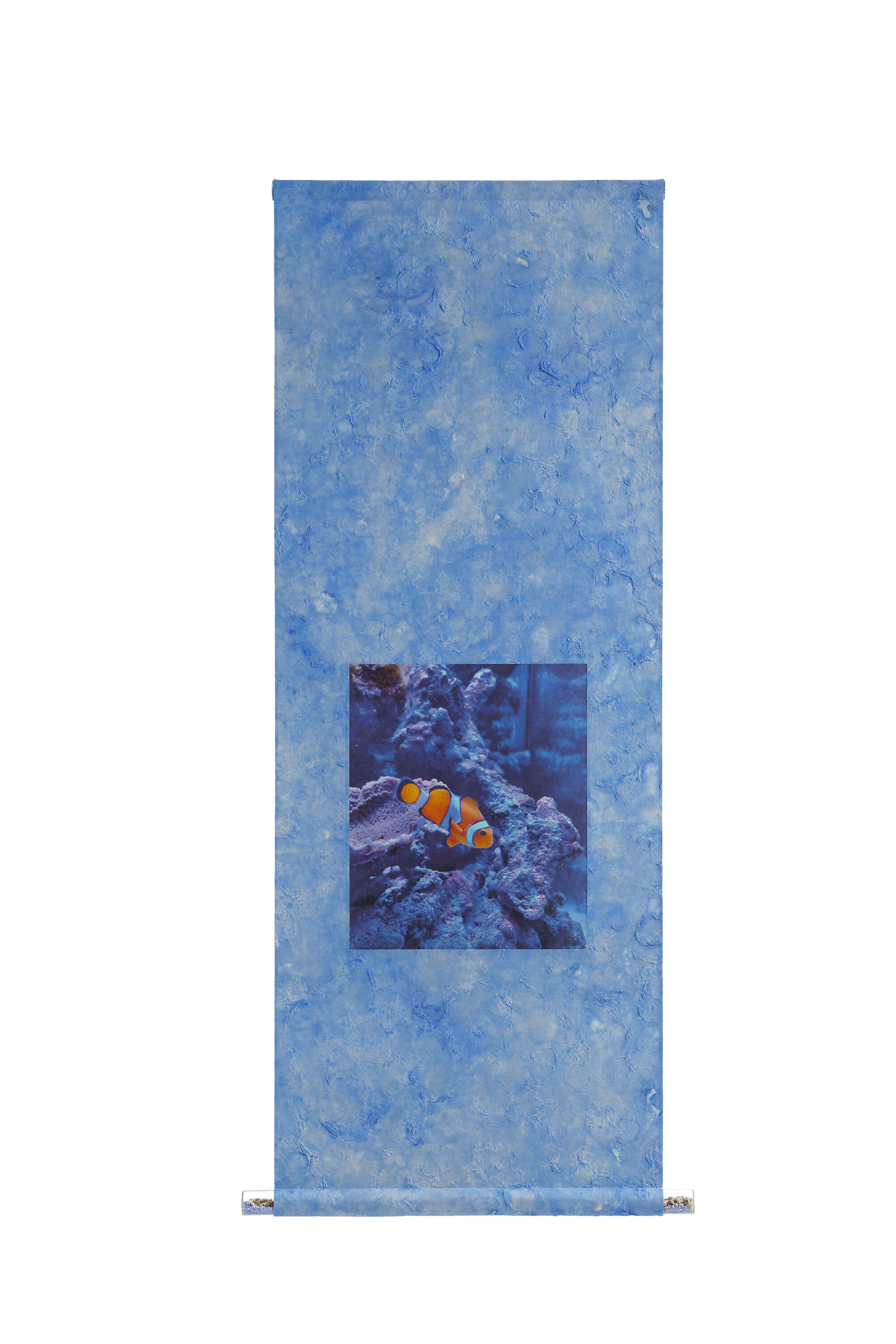 第７０回記念表美展・京都府知事賞（青年会） / (有)松錦堂 / 内藤隆博 / 「海の人気者」